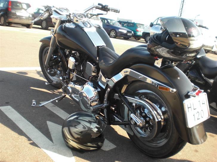 Harley Davidson FXSTC billede 2