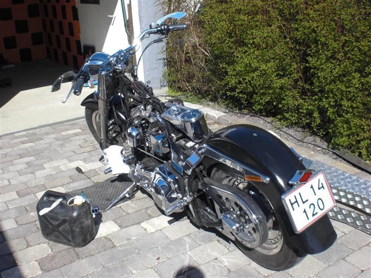 Harley Davidson FXSTC billede 4