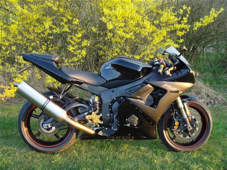 Yamaha yzf r6 billede 10