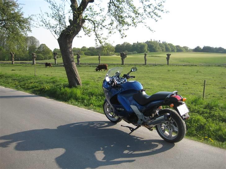 BMW K 1200 RS billede 8