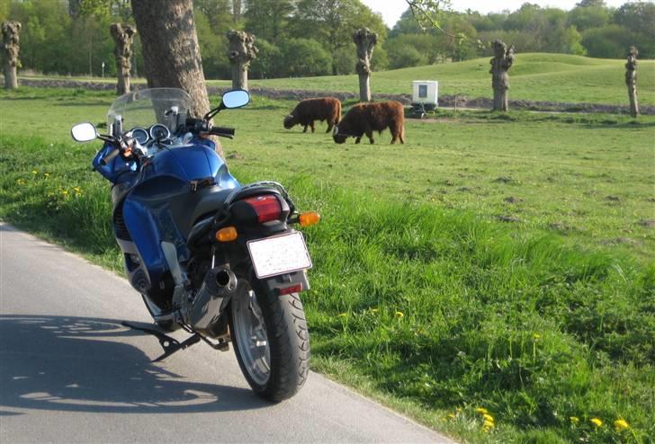 BMW K 1200 RS billede 15