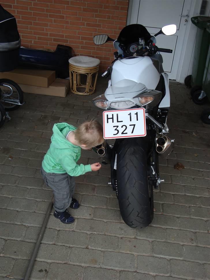 Suzuki GSXR1000 *solgt* - Men hov? Terror? billede 10