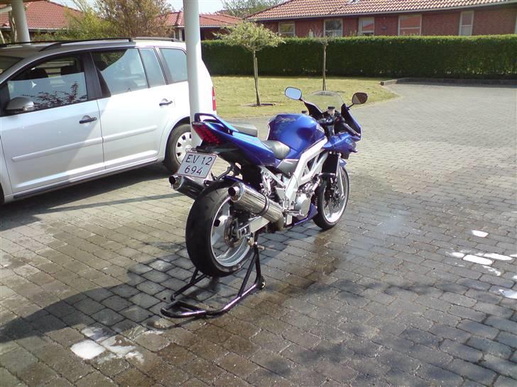 Suzuki Sv 1000s billede 8