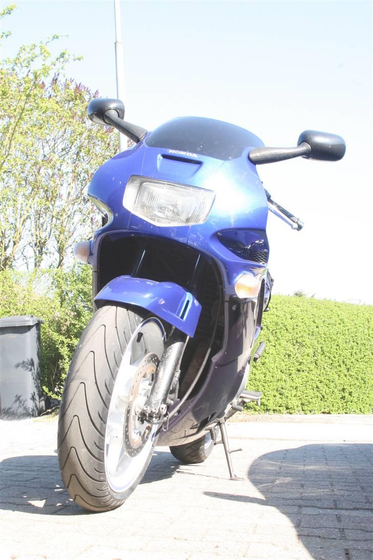 Honda CBR 600 F - SOLGT - ja, der er altså tilpas mange roadkills på kåben... sådan går det jo billede 13