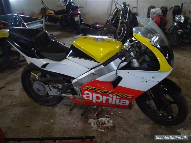 Aprilia AF1 sport pro billede 1