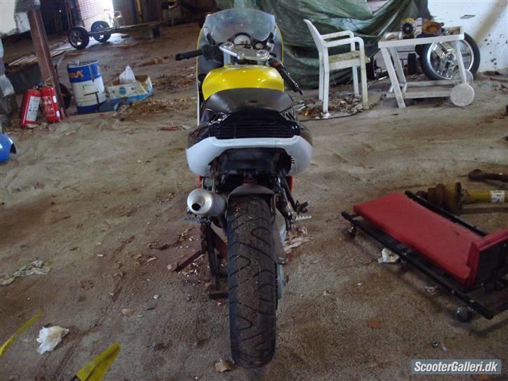 Aprilia AF1 sport pro billede 5