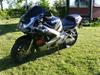 Suzuki GSX R 750 Srad