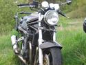 Suzuki GSF1200 Crash Bandicoot