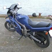Suzuki GS500E