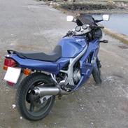 Suzuki GS500E