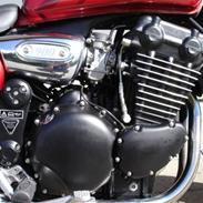Triumph Legend TT [SOLGT]