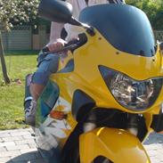 Honda CBR 600 F4 - SOLGT