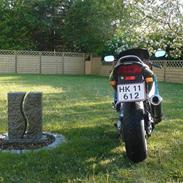 Honda CBR 600 F4 - SOLGT