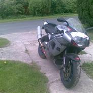 Aprilia RSV Mille