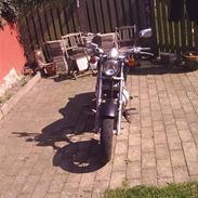 Lifan 250-4