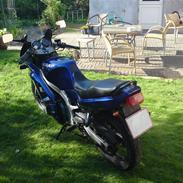 Suzuki GS 500 E