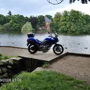Suzuki V strom DL 650