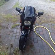 Kawasaki GPz750R *Projekt*