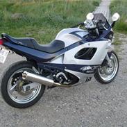 Suzuki GSX 600 F