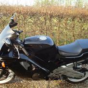 Honda 600 cbr 