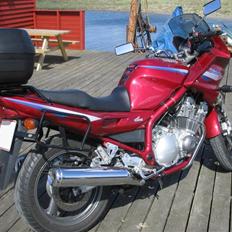 Yamaha Diversion 900
