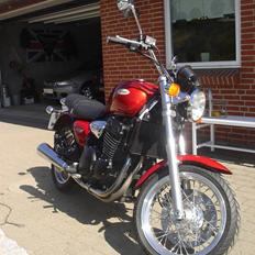 Triumph Legend TT [SOLGT]