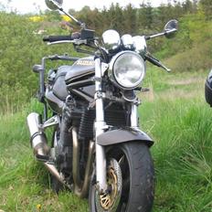 Suzuki GSF1200 Crash Bandicoot