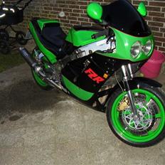 Yamaha FZR 1000 Genesis