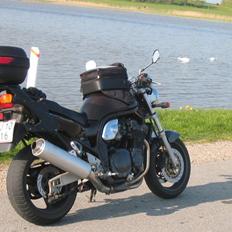 Suzuki GSF1200 Crash Bandicoot