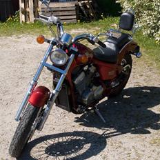 Honda VT 600 Shadow VLX
