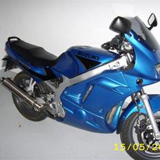 Suzuki Gs 500E