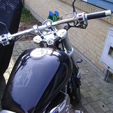 Suzuki vz 800  marauder