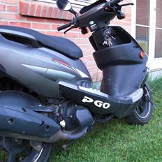 PGO T-REX 150 -- solgt--