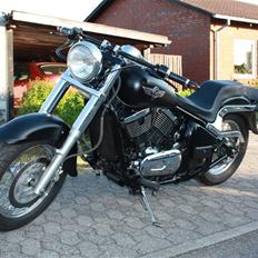 Kawasaki vn 800 classic (SOLGT)