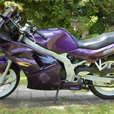 Suzuki Gs 500e (Solgt)