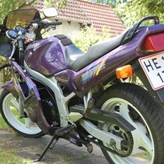 Suzuki Gs 500e (Solgt)