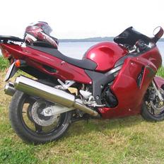 Honda CBR 1100 XX Blackbird 