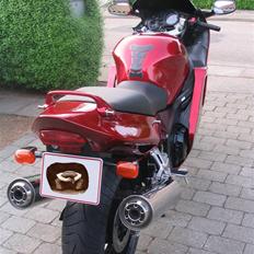 Honda CBR 1100 XX Blackbird 