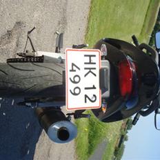 Yamaha SZR 660 Belgarda (SOLGT)