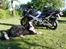 Suzuki GSX R 750 Srad