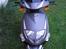 PGO T-REX 150 -- solgt--