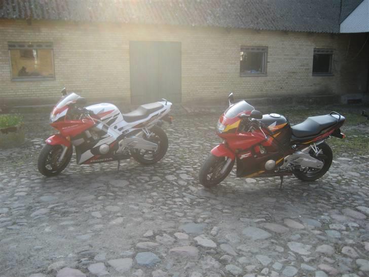 Honda cbr 600 f3 billede 3