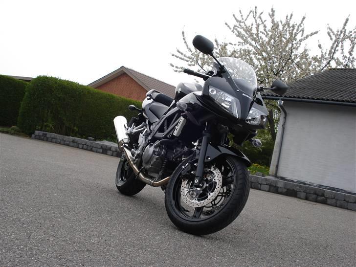 Suzuki SV650SK9 - 8. maj 2009 billede 3