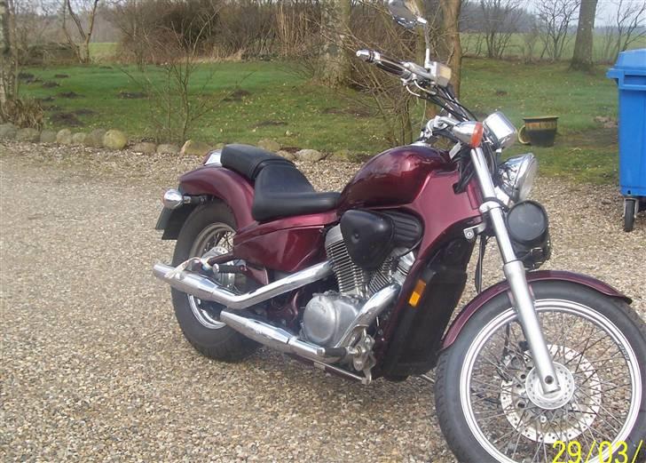 Honda Shadow VT 600  vtx - Og sådan så den ud før. billede 10