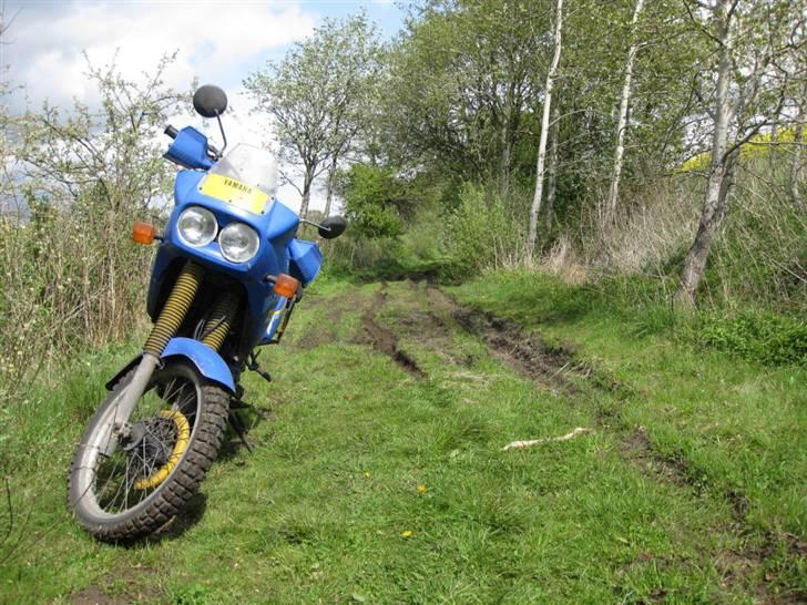 Yamaha XT600Z Ténéré billede 15