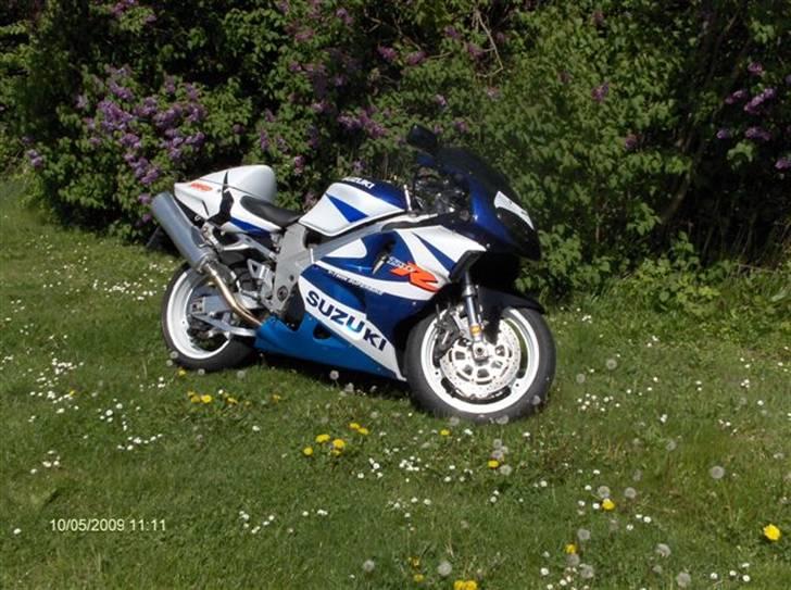 Suzuki TL 1000R Solgt billede 13