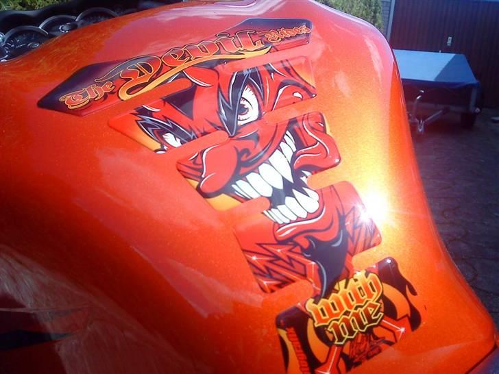 Suzuki Hayabusa -  "The Devil Rides With Me"^^ billede 5