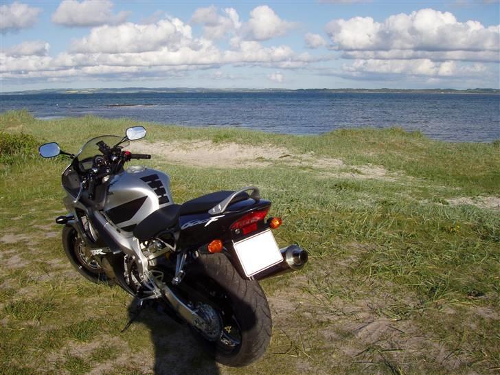 Honda CBR 600 F4i billede 8