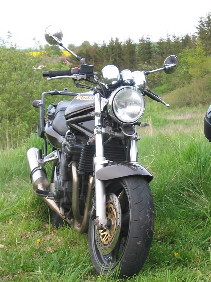 Suzuki GSF1200 Crash Bandicoot - med nye blink og potte  billede 1