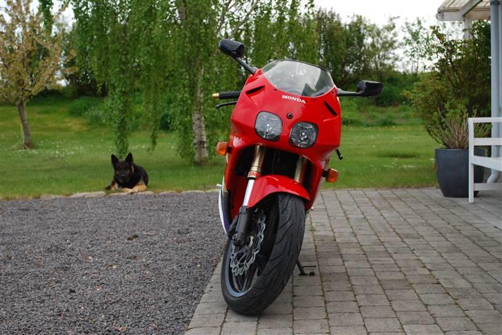 Honda RVF400 R *Død*  billede 8